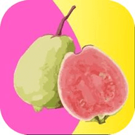 盘丝洞app下载大全