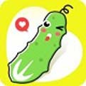 福建导航app下载入口