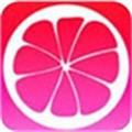 黑马影视TV电视盒子版_logo