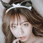 pr九尾狐正能量手机版免费下载