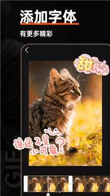 gif动图社区0