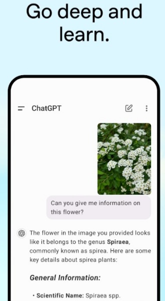 ChatGPT安卓中文版1