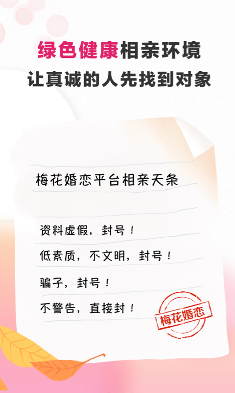梅花再婚相亲4