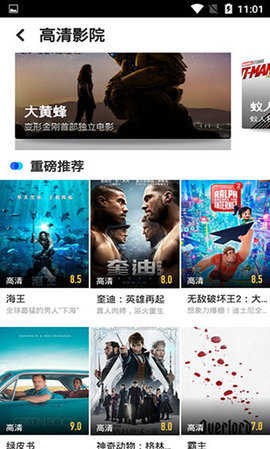 饭团影视纯净版1