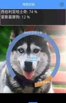 万能拍照识别(狗狗品种识别)0