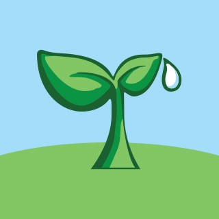 芥菜种下载安装免费正版