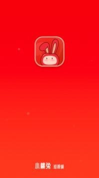 小桃兔3