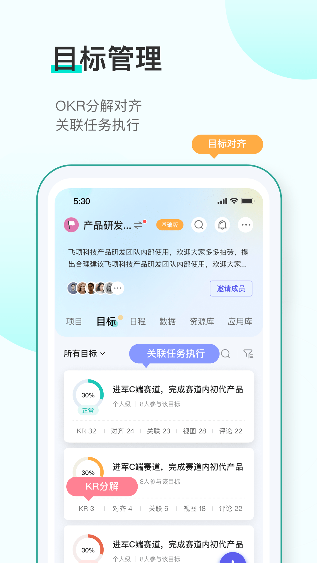 飞项3