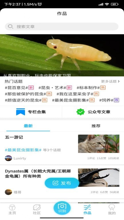 昆虫百科2