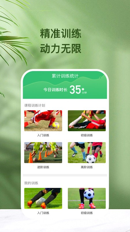 绿茵球球0