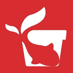鲤鱼送礼免费下载安装2023最新版
