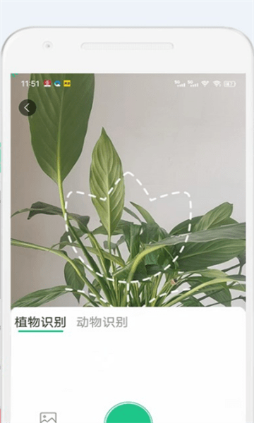 生物多样性2