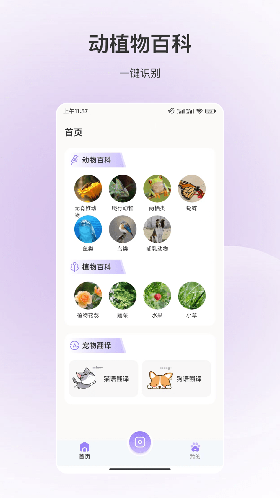 动物识别0