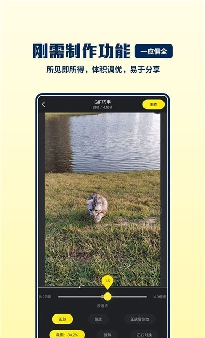 GIF巧手3