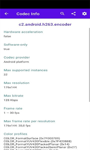codecinfo2
