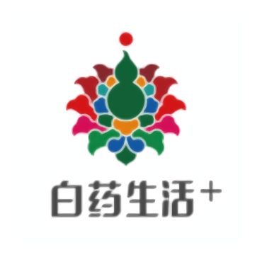 白客合一apk下载手机版