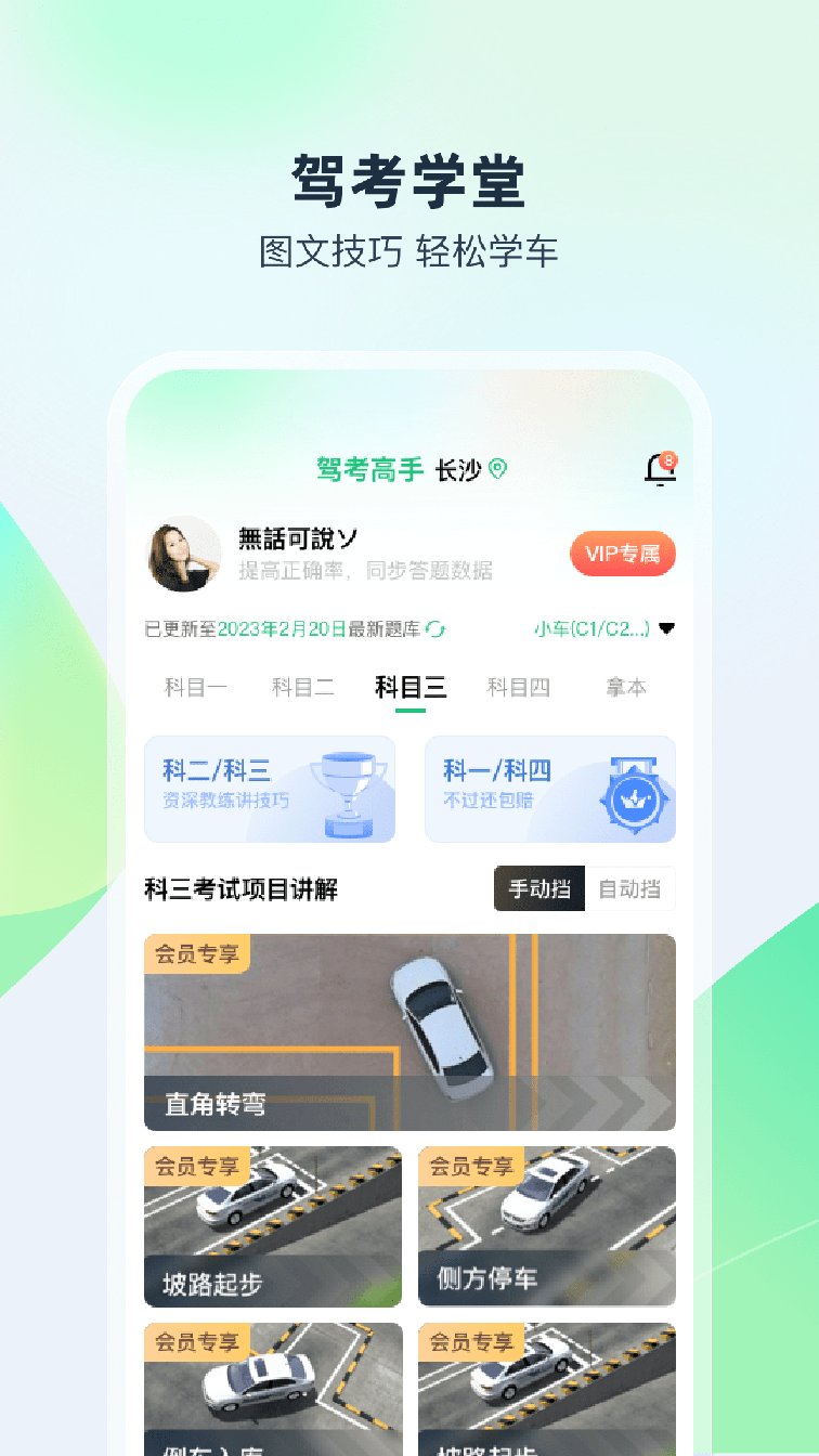 驾考高手2