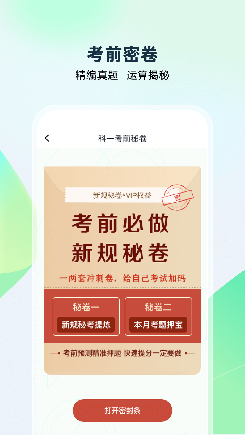 驾考高手1