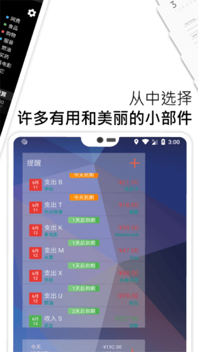 bluecoins高级版0