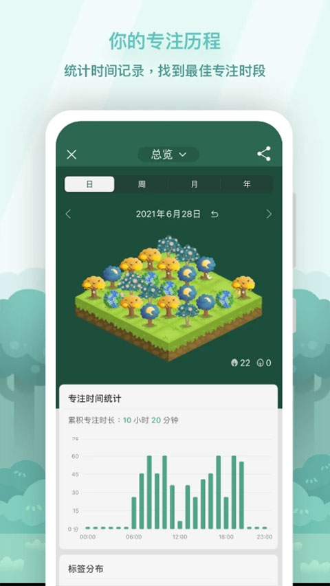 forest专注森林4